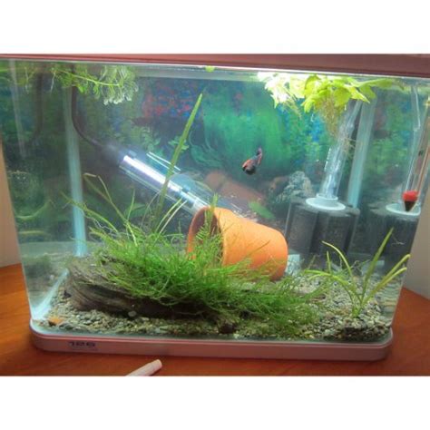 A high tech betta fish tank. TabStore XY-2835 Bio Sponge Filter Breeding Fry Betta ...