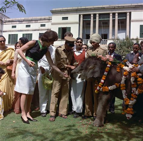 St C117 25 62 First Lady Jacqueline Kennedy Feeds Elephant In India