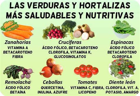 Propiedades Nutricionales De Las Verduras Y Hortalizas Alimentos My