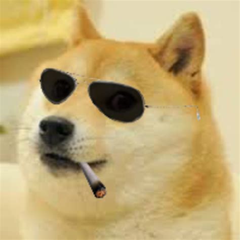 Sunglasses Doge Doge Know Your Meme