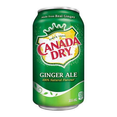 Maybe you would like to learn more about one of these? 24 × 355 mL Canada Dry Ginger Ale - Shop4fresh
