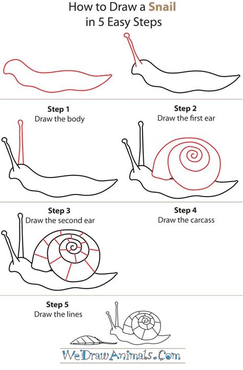 How to Draw a Snail | Drawing | Pinterest | How to draw ... These guys are the cutest.they'd be the cutest disney couple to exist.