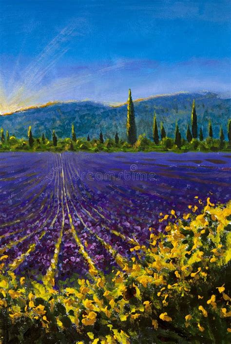 Sault Village In Vaucluse Lavender Flower Field Provence France Oil