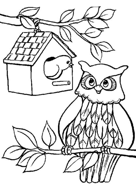 hibou dessin Coloriage Coloring Pages To Print, Animal Coloring Pages
