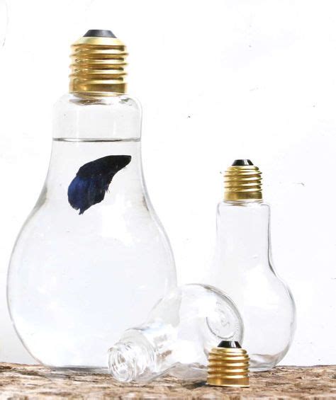 Light Bulb Display Bowl Lightbulb Jar Desktop Glass Jar Organic