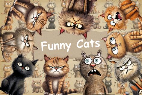 Funny Cats Clipart Set Of Funny Cats Graphic By Digital Xpress