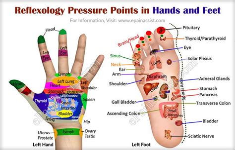 Acupressure Therapy Acupressure Treatment Acupressure Points Hand