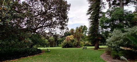 Royal Botanic Gardens Victoria And St Kilda Botanical Gardens Melbourne Visions Of Travel