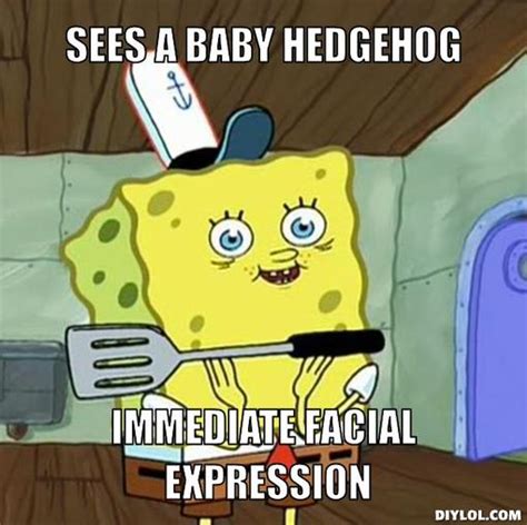 Spongebob Face Meme Generator Sees A Baby Hedgehog Immediate Facial Expression 119c1a Mayas