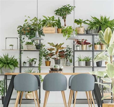 How To Create A Botanical Inspired Interior Design Carpet One Australia