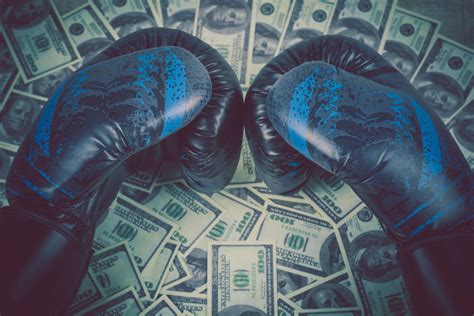 How Much Do Professional Boxers Get Paid Inc Per Fight Ny Boxing Gym