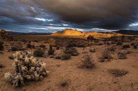 Joshua Tree National Park Wallpapers Wallpaper Cave