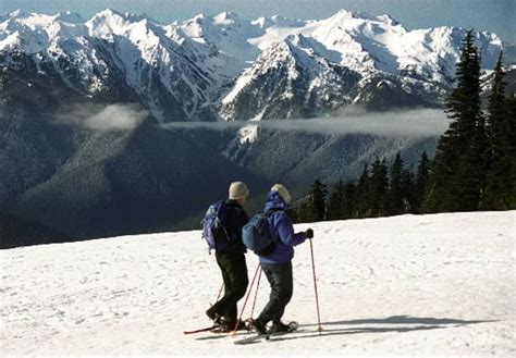 Winter Schedule Set For Hurricane Ridge In Olympic National Park