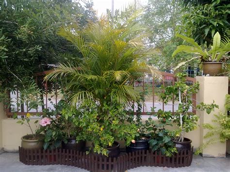 Cara Membuat Landskap Halaman Rumah Kampung | Destaman