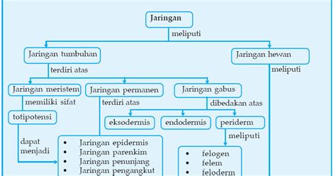 Peta Konsep Reproduksi Tumbuhan Dan Hewan Sexiz Pix