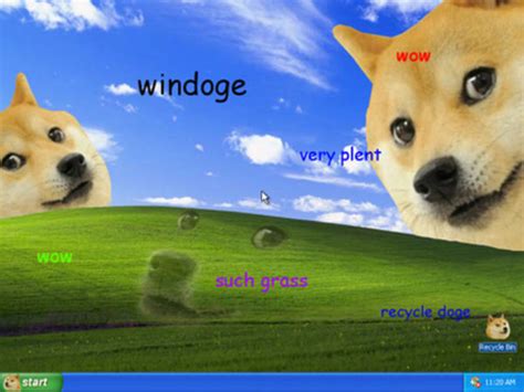 Doge Microsoft | Windows XP Bliss Wallpaper | Know Your Meme