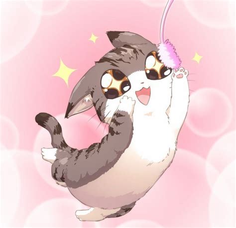 Kawaii Anime Cat Hot Sex Picture