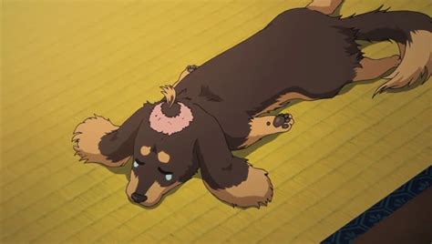 10 Most Awesome Dogs In Anime Top Dog Tips