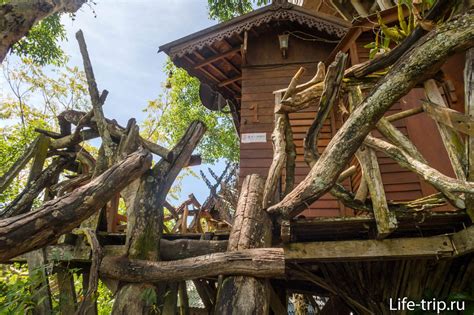 Отель на дереве Pai Treehouse Resort и достопримечательность