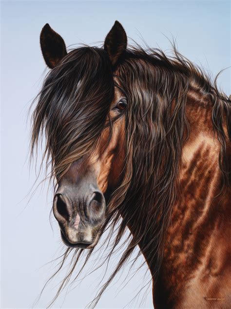 Equine Art By Shannon Lawlor Commissioned Horse Portraits