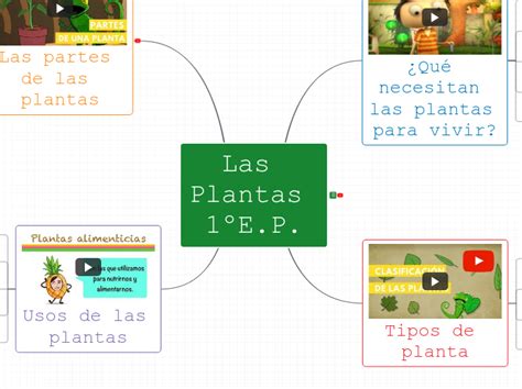 Las Plantas 1ºep Mind Map