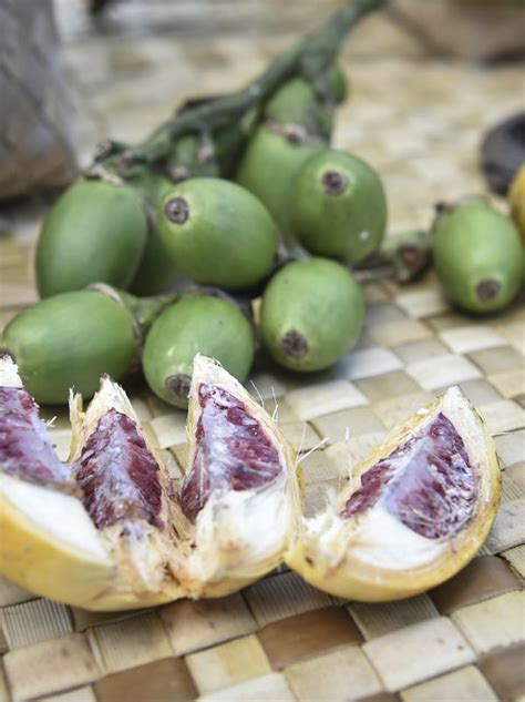 Betel Nut Chewing Could Cause Cancer And Loss Of Teeth