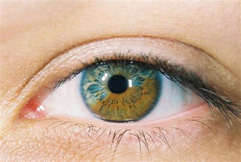 Though some people think eye color can change with. Heterochromia - a gallery on Flickr
