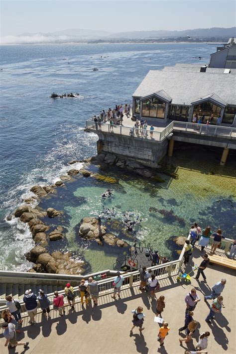 The Monterey Bay Aquarium Wins The 2016 Aia Twenty Five Year Award