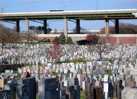 Calvary Cemetery A Quiet Sanctuary In Queens New York
