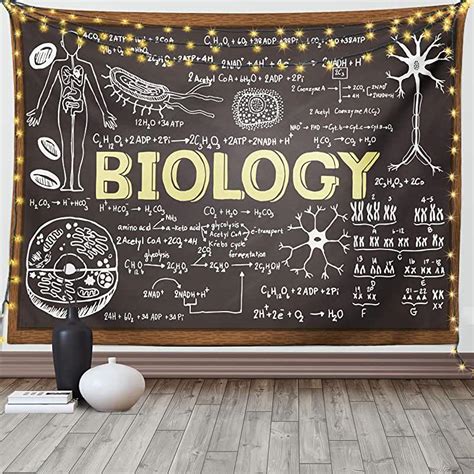 Biology Posters