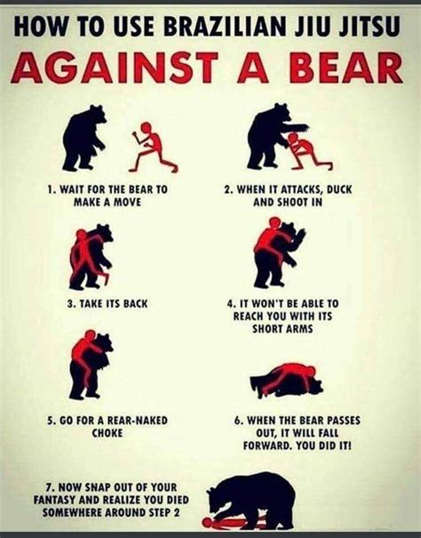 How To Defend Yourself From A Bear Funny Comics Funny Pictures Funny