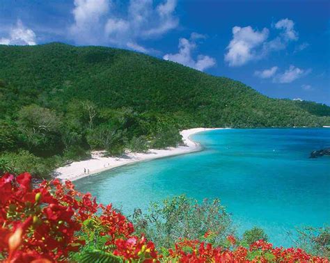 8 Of The Best Beaches In And Around The Caribbean