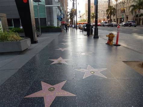 Should Be Called There Walk Of Shame Review Of Hollywood Walk Of Fame Los Angeles Ca