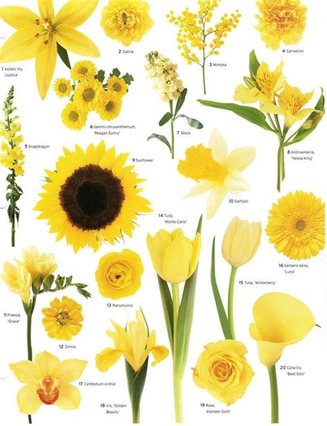 Yellow Flowers Wedding Ideas Bandc Pinterest