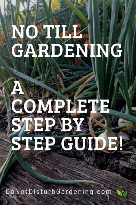 How to Start a No-Till Garden: A Complete Step-By-Step Guide – Do Not