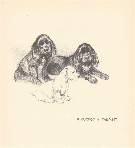 1947 Kf Barker Original Vintage 2 Sided Dog Print Unique Etsy