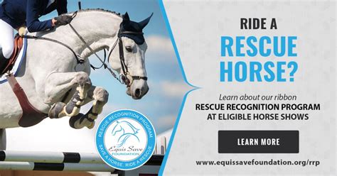 Eventing Competitions For Rescue Horses · Equis Save Foundation