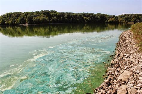 Pollution of water affects both humans and aquatic life. Water Pollution Effects Blog 2015: Water Pollution ...