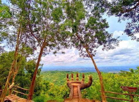 15 Tempat Wisata Di Hutan Pinus Mangunan Yogyakarta