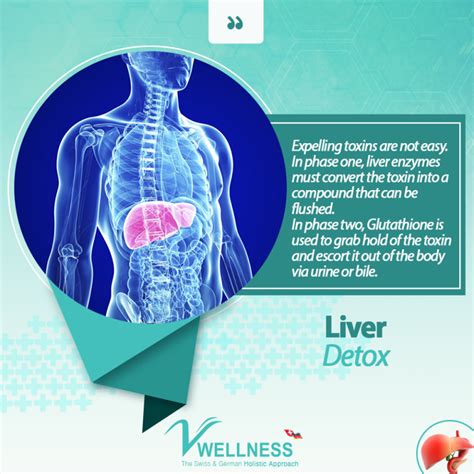 Detoxification Liver Detox V Wellness Clinic