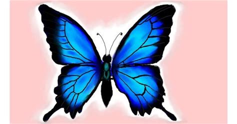 Drawing Of Butterfly By Rush Drawize Gallery
