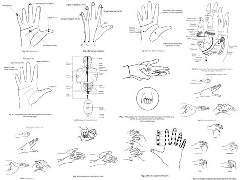 Healing Hand For Self Massage Learn Self Healing