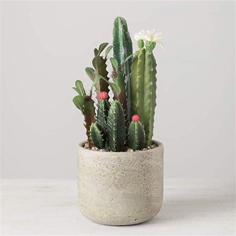 Sullivans Artificial Flowering Cactus Arrangement In