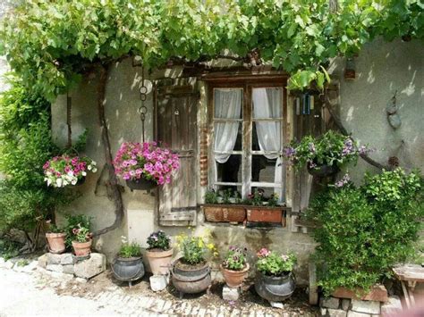 Cottage Garden For A Small Courtyard Garden And Shed