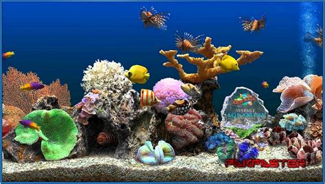 Marine Aquarium 3 Screensaver Keycode Download Screensaversbiz