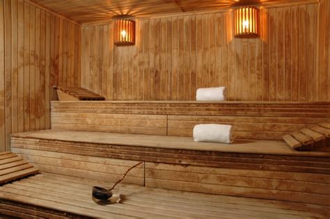 Check spelling or type a new query. 52 Dry Heat Home Sauna Designs (Photos)