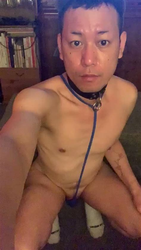 Asian Mutt Bitch Fag On Twitter Bitchs New Outfit Is It Too Naughty Fag Is Shy Lol Faggot