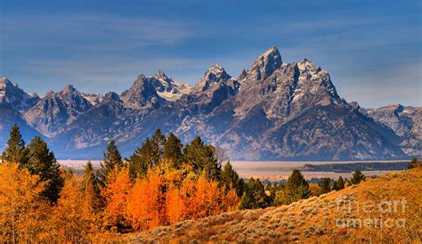 Autumn Gold In The Tetons Photograph By Adam Jewell Pixels
