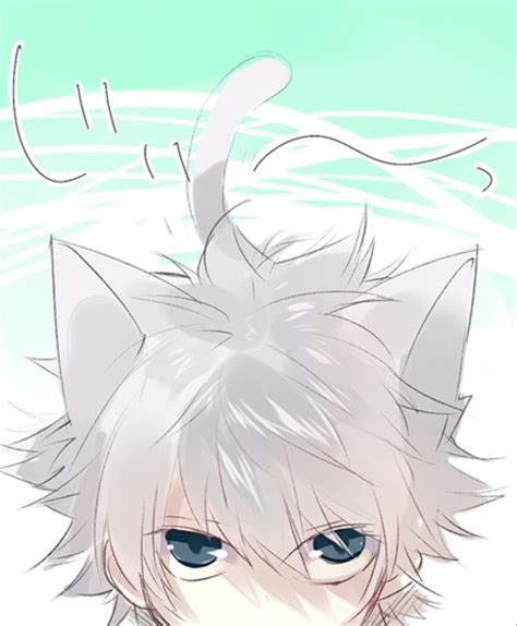 Killua Zoldyck ~hunter X Hunter Anime Angel Anime Cat Kawaii Anime