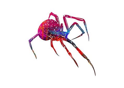 Spider Watercolor Painting Archival Print Animal Wall Decor Home